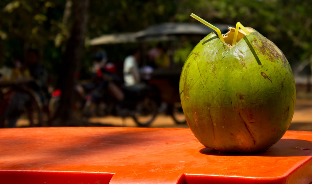 Coconut